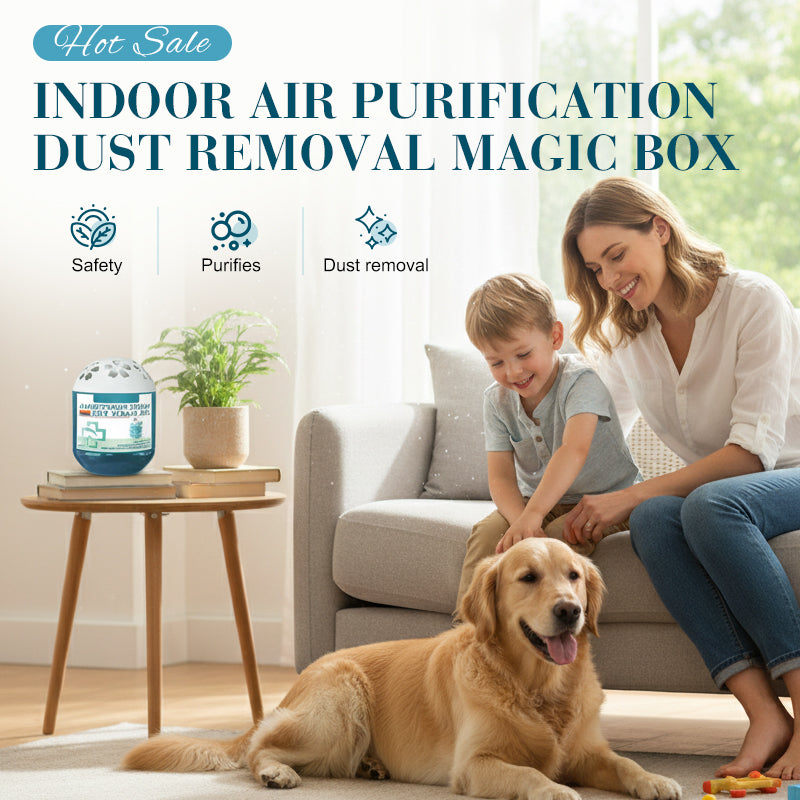 đ„ Limited-Time Pre-Saleâ°Indoor Air Purification Dust Removal Magic Boxđ đż