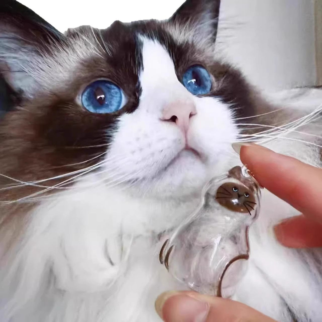 Pet Hair Memorial Capsule Keychain