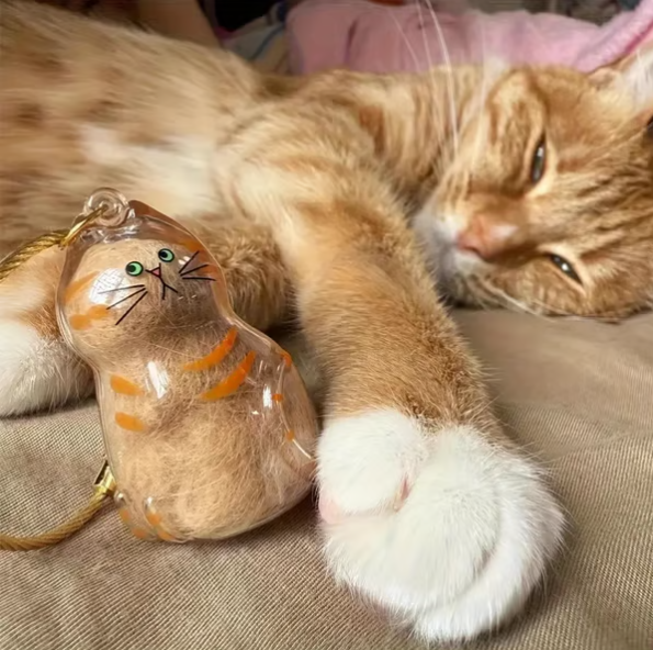 Pet Hair Memorial Capsule Keychain